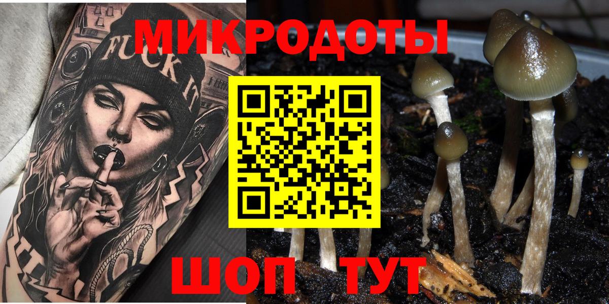 Галлюциногенные грибы GOLDEN TEACHER Пугачёв