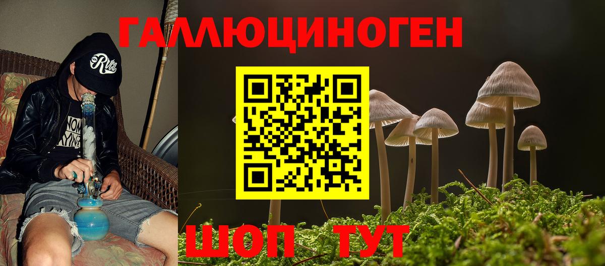 Пугачёв  Галлюциногенные грибы Cubensis  Вход с VPN 